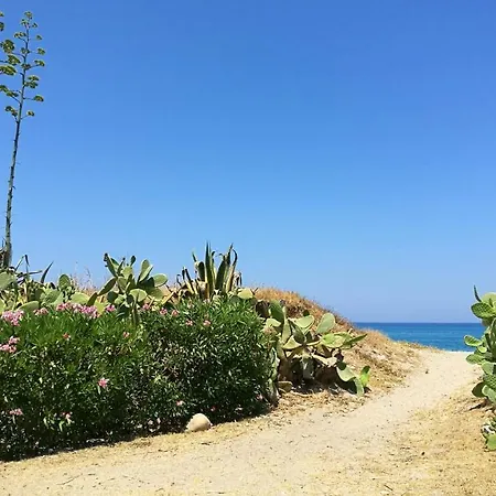 Diana Campofelice Di Roccella